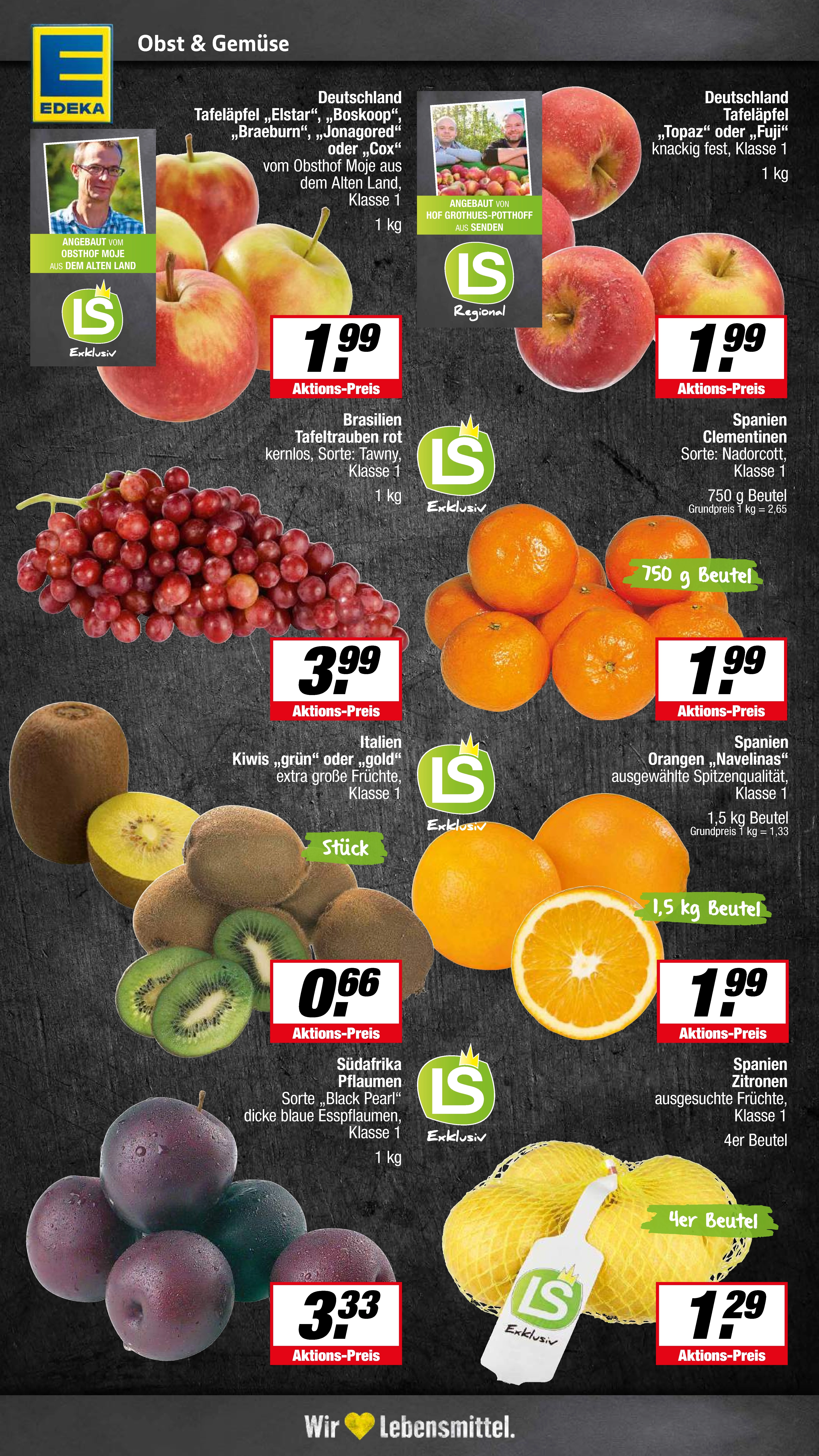 Handzettel Rückseite