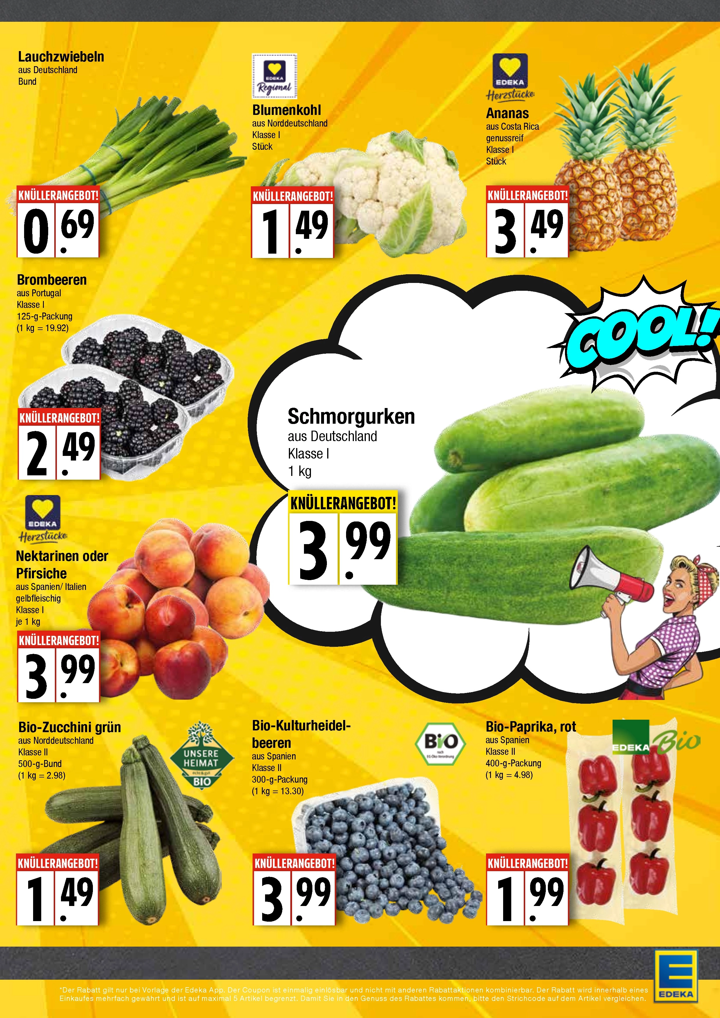 Handzettel Rückseite